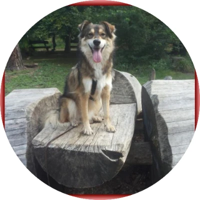 Profile picture for user smiley